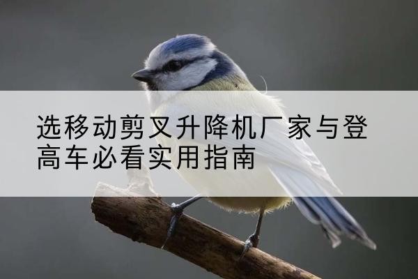 伊州电动升降机厂家-选移动剪叉升降机厂家与登高车必看实用指南