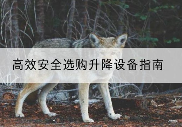 伊州升降货梯厂家推荐-*安全选购升降设备指南