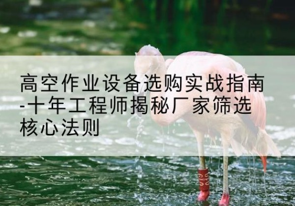 伊州剪叉式升降机厂家-高空作业设备选购实战指南-十年工程师揭秘厂家筛选核心法则